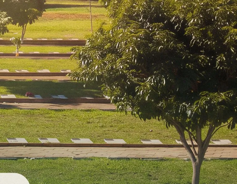 Alas arborizadas